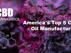 Organic CBD Oil – America’s Top 5 CBD Oil Manufacturers and How to Choose the Right One Organic CBD Oil - America's Top 5 CBD Oil Manufacturers and How to Choose the Right One